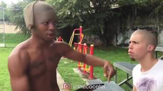The Cocolin..... El Ladron Educado