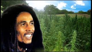 Watch Bob Marley Aint No Sunshine When Shes Gone video