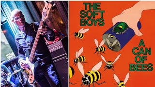 V&V Episode 059 Mark Stone(Medicine Ball, Droplets) & The Soft Boys' A Can of Bees