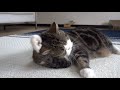 maru