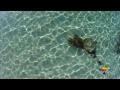 Formentera [Drone]