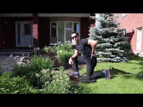 All Videos