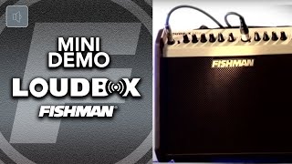 Fishman Loudbox Mini Product Demo