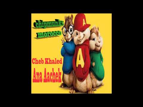 moroccan chipmunks songs cheb khaled-ana aachek