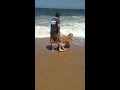 Breaux's first wave