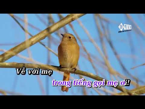 Karaoke Beat TRỞ VỀ NGỌC KÝ