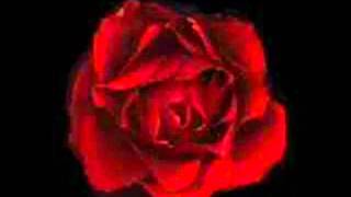 Watch Bryan White You Know How I Feel video