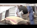 動画で見る「コーヒーができるまで」(6)輸入したコーヒー生豆の日本での荷揚げ・検査