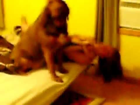 Секс Собака Видео Шлюхами