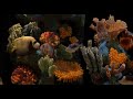 Christopher Hitchens Vs. Chris Hedges FULL plus FISH