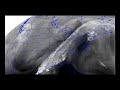 FALLOUT FORECAST & WARNING: ALASKAN NEWS 4.16.2012
