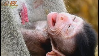 Even mom Jane not reject, Why newborn baby Janet cry not get milk when hungry like this.