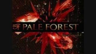 Watch Pale Forest Mr Trenchcoat video