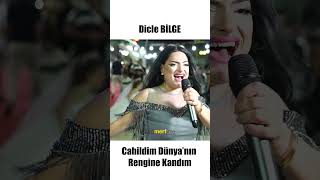 Dicle Bi̇lge Cahildim Dünyanın Rengine Kandım