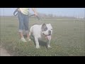 2012 www.CANINE SUPREME.com