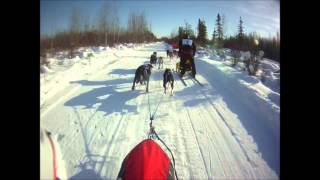 Ifss 2013 4 Dog M Start