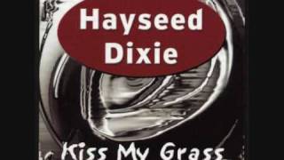 Watch Hayseed Dixie Rock And Roll All Nite video