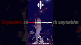 Aynur Polat - Zeynebim