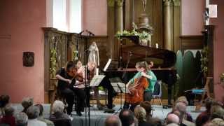 Schubert - Sonatensatz for piano trio D.28 - Margulis, Hallynck, Mikkola