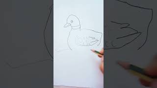 Draw A Easy Druck. So Simple Druck. It