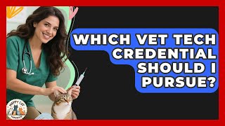 Which Vet Tech Credential Should I Pursue? - Animal Care Jobs