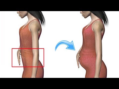 Đừng Than Vì Sao Bụng Đầy Mỡ Nếu Cứ Làm Điều Này Trước Khi Ngủ 100 Người Thì 99 Người Mắc Phải