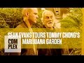 Tommy Chong's Medical Marijuana Garden | Complex
