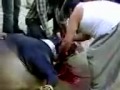 Khurrat Cow Run Away From Qurbani images Khurrat Cow Run Away From Qurbani