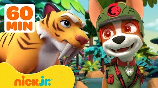 PAW Patrol's Jungle Pups Rescue Giant Animals! 🐯 w/ Marshall & Tracker | 1 Hour 