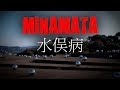 YouTube YouTube