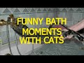 Cats just don't want to bathe - Funny cat bathing compilation