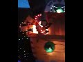 Christmas Lights in Grey Lynn
