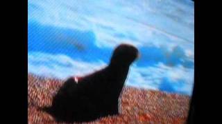 Lets Watch Baby Neptune Discovering Water Part 4 Of 9