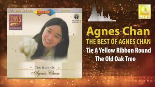 Watch Agnes Chan Tie A Yellow Ribbon Round The Old Oak Tree video