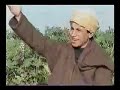 فكاهة