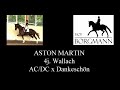 ASTON MARTIN --- Hof Borgmann --- Juni 2022
