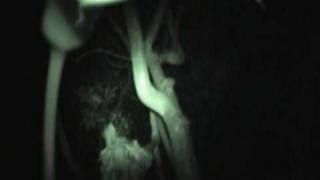 Watch Bjork Its In Our Hands video