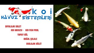 Bi̇yoloji̇k Koi̇ Göleti̇ - Koi̇ Fi̇sh Pond