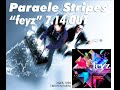 Paraele Stripes "feyz" ダイジェスト