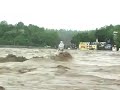 himalayan