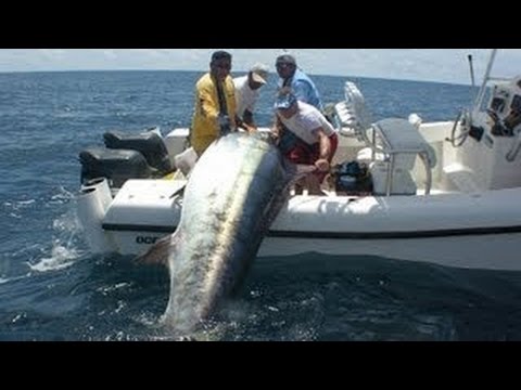 рыбалка на тунца по дискавери рыбалка на тунца по дискавери