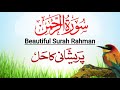 Surah Rahman Beautiful Tilawat e Quranسورۃ رحمن | Tibyan  Tv Ep 210