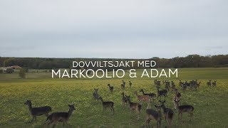 Dovviltsjakt med Markoolio & Adam Alsing