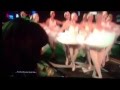 Mobbed Sequence from
