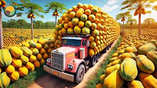 How Thai Farmers Harvest Millions Of Papaya - Thailand Street Food Farming Doentary