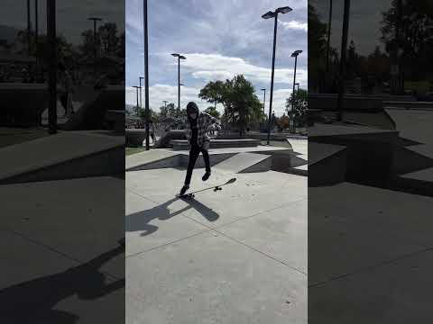 Kickflip a Snowboard Skateboard!?
