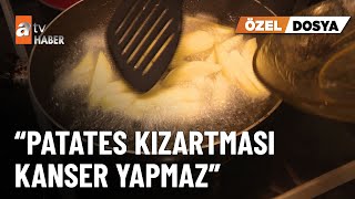 Özel Dosya - Yavuz Dizdar, Patates Kızartması Zararlı Tabusunu Yıktı- Atv Ana Haber 21 Ekim 2025