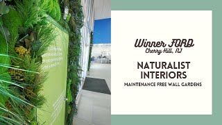 Naturalist Interiors for WINNER FORD, NJ/Maintenance free Wall Garden 100% prese
