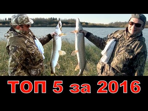 рыбалка на севере лучшие видео рыбалка на севере лучшие видео