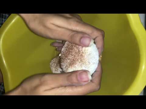 Cornstarch Video
